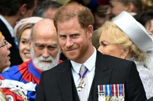Harry bị chỉ trích