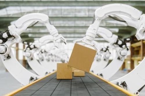 Hàn Quốc: Một nhân viên thiệt mạng vì bị robot nhầm là thùng ớt chuông