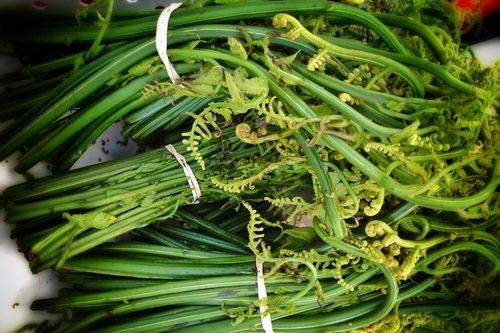 Loại cây dại được mệnh danh 'vua các loại rau', thuốc bổ cho nhiều người