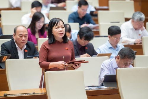 Nhiều đại biểu QH đồng ý gia hạn tiến độ dự án sân bay Long Thành
