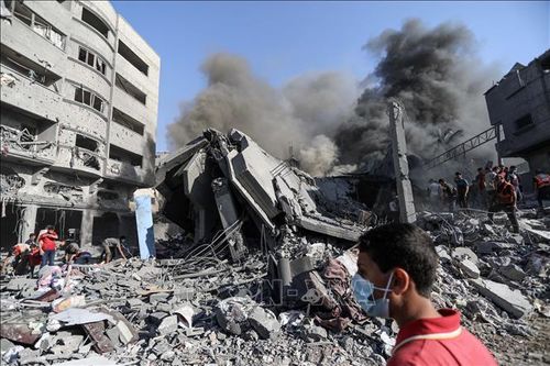 Ai Cập kêu gọi thực thi nghị quyết về ngừng bắn nhân đạo ở Gaza