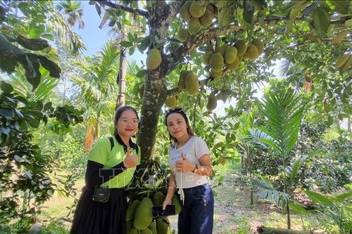 Quảng bá và gia tăng giá trị kinh tế của du lịch nông thôn