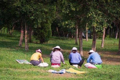 Mẹ già 76 tuổi, lương hưu 6 triệu vẫn đi làm thêm: Con trai ngăn cấm nhưng khi thấy sổ tiết kiệm thì vội đổi thái độ