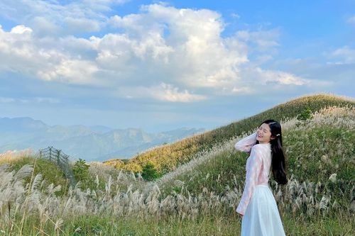 Tháng 11, giới trẻ lại có hẹn với đồng cỏ lau đẹp quên lối về ở Bình Liêu