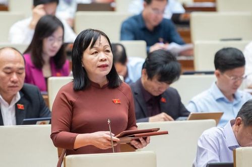 'Dự án sân bay Long Thành đã vắt qua 3 nhiệm kỳ Quốc hội, hy vọng sẽ không hoãn nữa!'