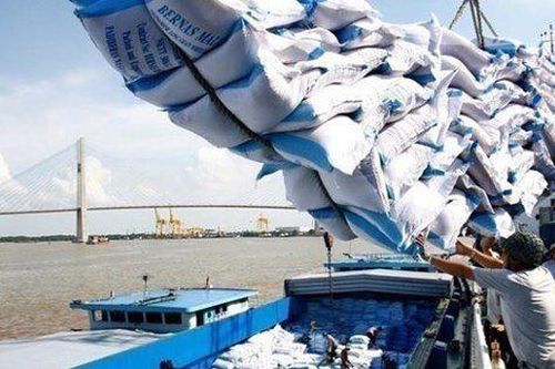 Lợi nhuận ngành gạo 'mỏng như lá lúa' dù doanh thu tăng cao