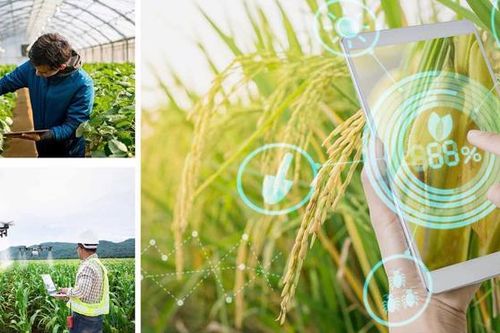 Chuyển đổi công nghệ số sẽ cách mạng hóa ngành nông nghiệp