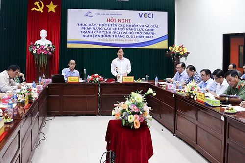 Triển khai nhiệm vụ, giải pháp cải thiện môi trường kinh doanh, nâng cao năng lực cạnh tranh cấp tỉnh