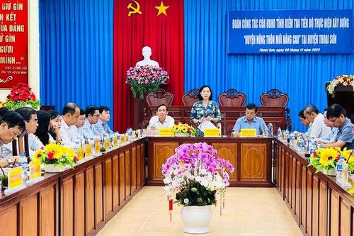 Phó Chủ tịch UBND tỉnh An Giang Nguyễn Thị Minh Thúy kiểm tra tiến độ thực hiện xây dựng huyện nông thôn mới nâng cao ở Thoại Sơn