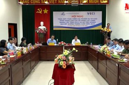 Triển khai nhiệm vụ, giải pháp cải thiện môi trường kinh doanh, nâng cao năng lực cạnh tranh cấp tỉnh