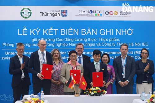Hợp tác đào tạo nguồn nhân lực làm việc tại Đức