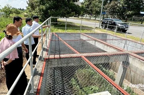 Đã có báo cáo xả nước vào suối Bí, huyện Thống Nhất