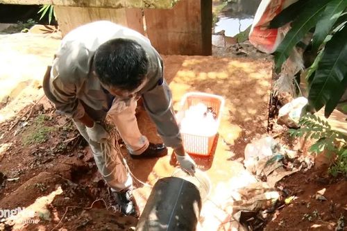 Các bên nói gì về vụ cá chết sau khi súc rửa ống nước ở Khu công nghiệp Dầu Giây?