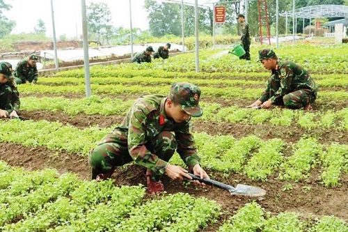 Chủ động thực phẩm cho mùa huấn luyện mới