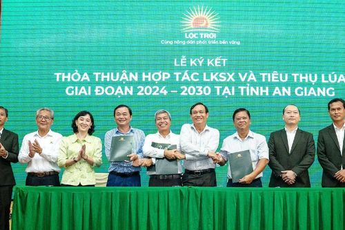 Tập đoàn Lộc Trời (LTG) xây liên kết sản xuất 300.000 ha với mục tiêu sản xuất 5 triệu tấn lúa/năm
