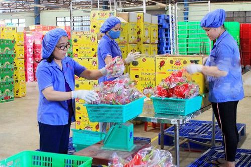 Việt Nam - Vương quốc Anh chú trọng thực thi UKVFTA