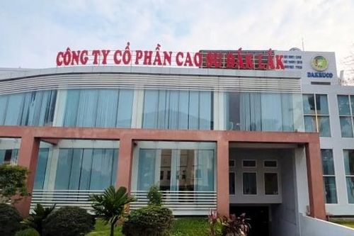 Công ty CP Đầu tư cao su Đắk Lắk bị phạt thuế hoạt động ra sao?