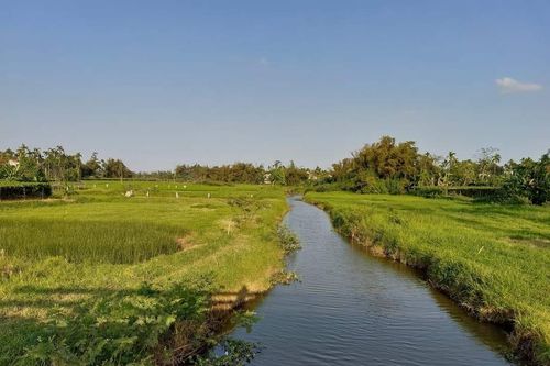 Tình em dệt chiếu