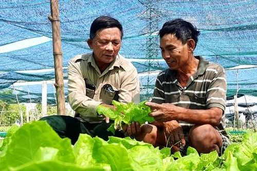 HTX vẫn đơn độc trong tìm kiếm thông tin thị trường