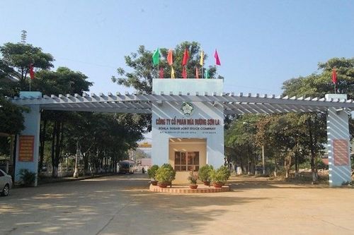 Giải mã đà lao dốc của cổ phiếu SLS