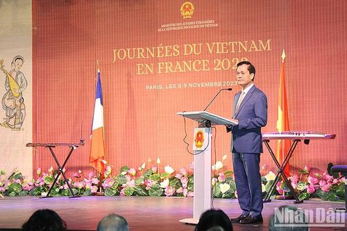 'Ngày Việt Nam tại Pháp' tỏa sắc Việt và thắm tình hữu nghị