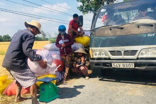 Doanh nghiệp lúa gạo cần duy trì nguồn cung ổn định trong nước, tránh bị thương lái thao túng