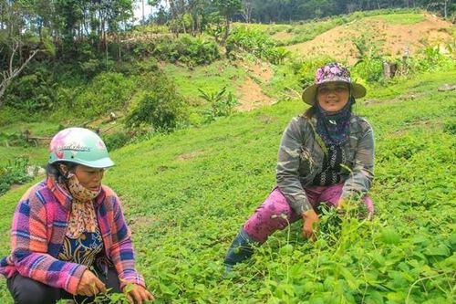 Kon Tum: Điều chỉnh 65,077 tỷ đồng thực hiện Chương trình mục tiêu quốc gia