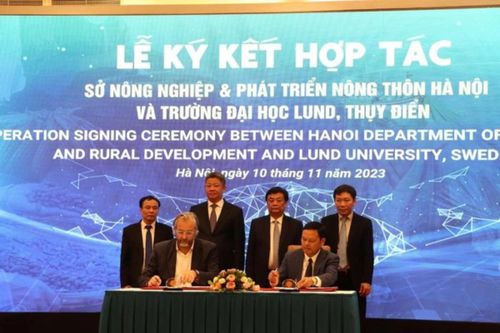 Hà Nội: Hợp tác phát triển làng nghề với 2 tổ chức quốc tế