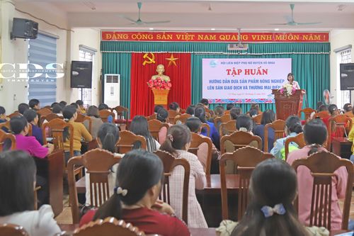 Thúc đẩy sản phẩm nông nghiệp lên sàn giao dịch và thương mại điện tử