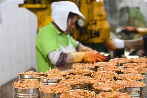 Goldman Sachs nâng dự báo tăng trưởng kinh tế của Trung Quốc