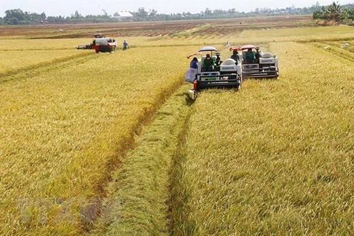 Cần Thơ: Mở rộng giao thương hàng hóa sang thị trường Đông Bắc Á