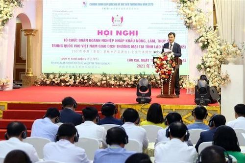 Xúc tiến xuất, nhập khẩu nông, lâm, thủy sản giữa Lào Cai và Vân Nam