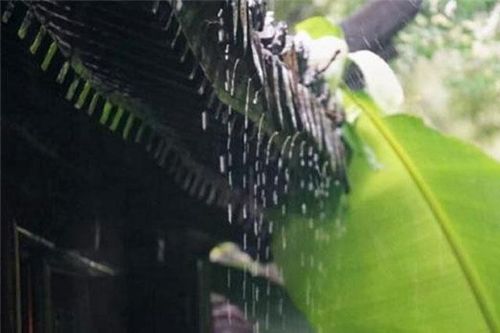 Cổ nhân nói: 'Xây nhà hứng lệ, 3 năm khóc hai lần'. Ý nghĩa thâm sâu của câu nói này là gì?