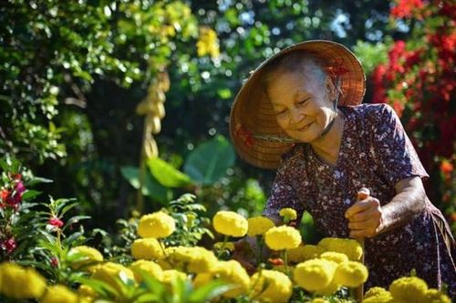 Người cao tuổi đóng góp hơn 30 nghìn tỷ đồng và hàng triệu ngày công xây dựng nông thôn mới