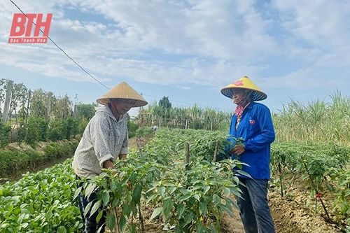 Thiệu Phúc 'đi sau, về trước' trong xây dựng nông thôn mới nâng cao