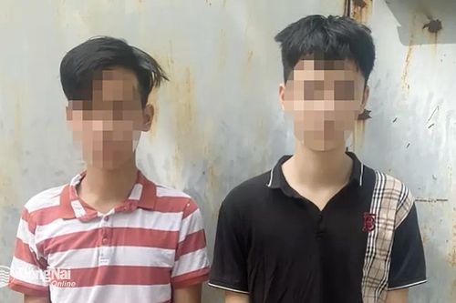2 thiếu niên rủ nhau cướp hàng của nhân viên giao hàng