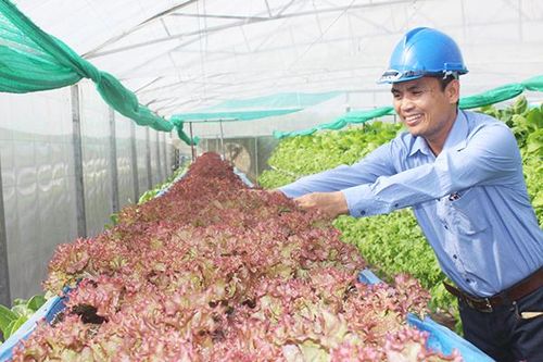 Đồng Nai thu hút doanh nghiệp, nông dân đầu tư nông nghiệp tuần hoàn