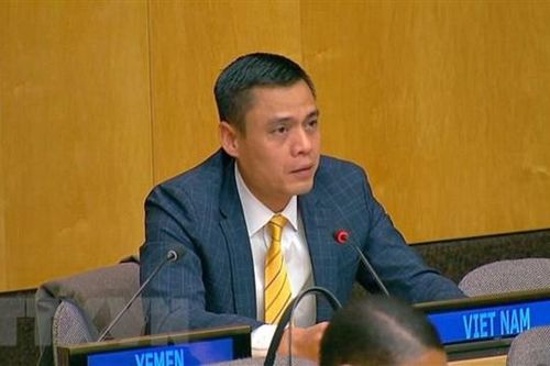 Việt Nam đóng góp tích cực, trách nhiệm vào công việc của IAEA