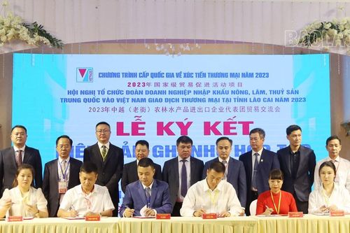 Hội nghị tổ chức Đoàn doanh nghiệp nhập khẩu nông - lâm - thủy sản Trung Quốc và Việt Nam giao dịch thương mại tại tỉnh Lào Cai năm 2023