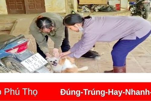 Tân Sơn: Gần 14 nghìn liều vacxi tiêm phòng cho đàn vật nuôi