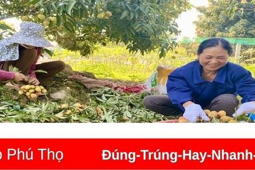 Chiến lược phát triển ngành nghề nông thôn đến năm 2030, tầm nhìn đến năm 2045