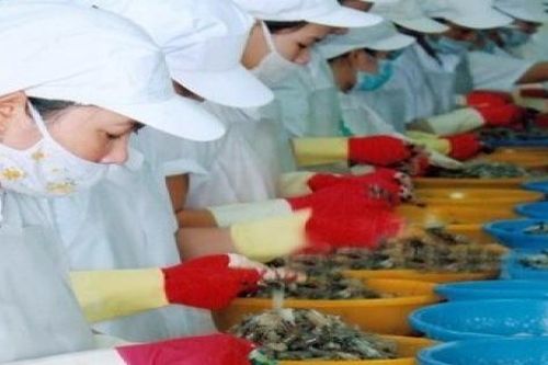 Thủy sản Bạc Liêu đối diện nguy cơ bị hủy bỏ niêm yết
