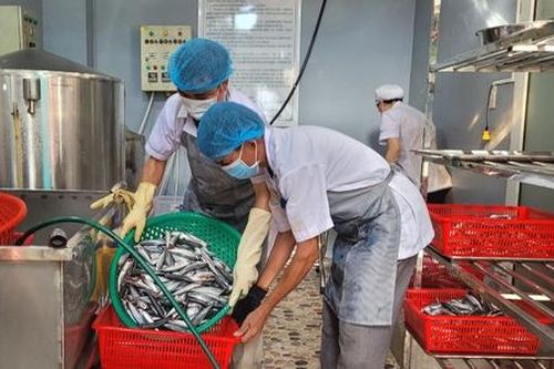 Kiều bào mở cơ hội xuất khẩu cho HTX