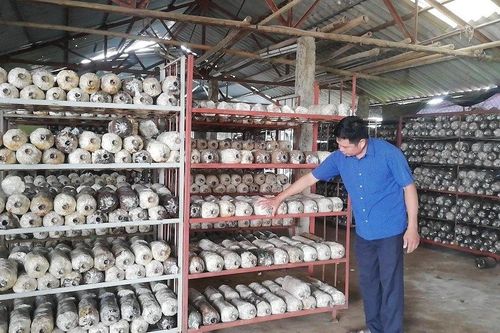Huy động nguồn lực HTX trong xây dựng nông thôn mới ở Giao Thủy