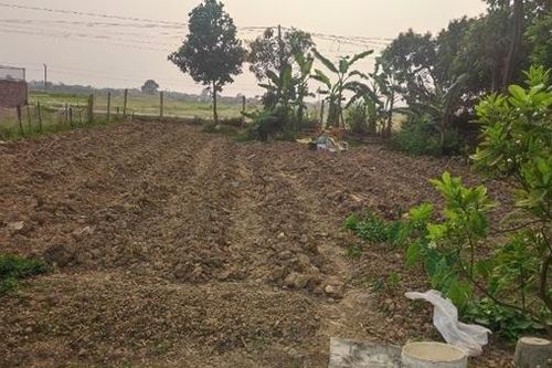 Bán đất trái phép, nguyên Chủ tịch xã cùng lãnh đạo 3 thôn bị khởi tố