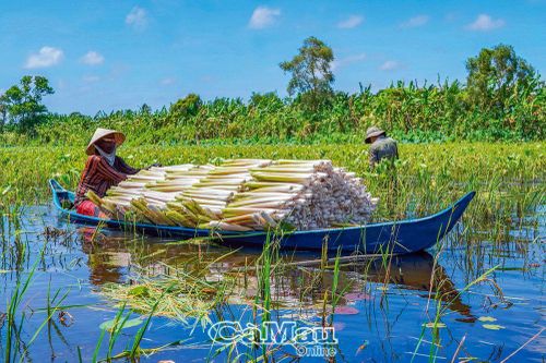 Lộc trời mùa nước nổi