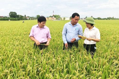 Để không lãng phí 'bờ xôi, ruộng mật': Cần đổi mới tư duy, nâng cao giá trị sản xuấtBài cuối: Tư duy và hướng tiếp cận mới