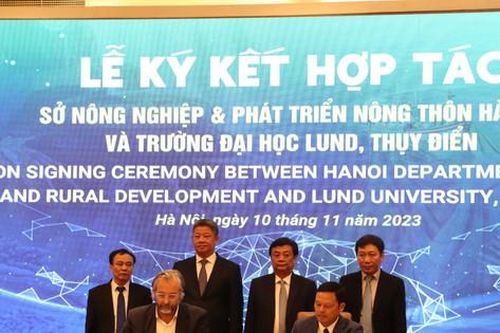 Hợp tác quốc tế phát triển làng nghề Hà Nội