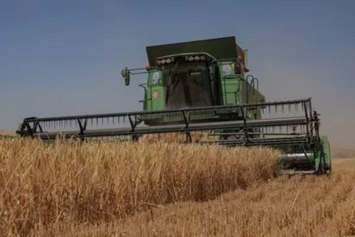 Xe lửa vận chuyển ngũ cốc Ukraine tiếp tục tăng
