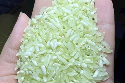 Sự thật bất ngờ về loại gạo Séng Cù xanh được quảng cáo 'từ lúa non'